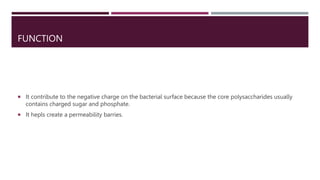 FUNCTION
 It contribute to the negative charge on the bacterial surface because the core polysaccharides usually
contains charged sugar and phosphate.
 It hepls create a permeability barries.
 