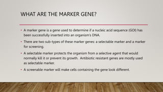 marker free methods | PPTX