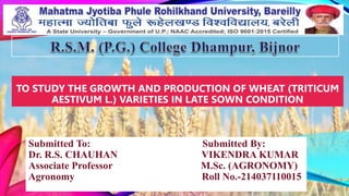 TO STUDY THE GROWTH AND PRODUCTION OF WHEAT (TRITICUM
AESTIVUM L.) VARIETIES IN LATE SOWN CONDITION
Submitted To: Submitted By:
Dr. R.S. CHAUHAN VIKENDRA KUMAR
Associate Professor M.Sc. (AGRONOMY)
Agronomy Roll No.-214037110015
 