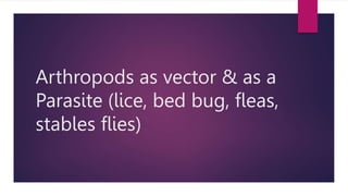 Arthropods as vector & as a
Parasite (lice, bed bug, fleas,
stables flies)
 