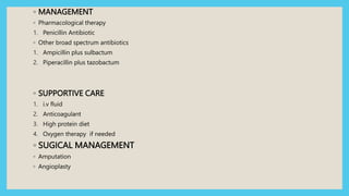 ◦ MANAGEMENT
◦ Pharmacological therapy
1. Penicillin Antibiotic
◦ Other broad spectrum antibiotics
1. Ampicillin plus sulbactum
2. Piperacillin plus tazobactum
◦ SUPPORTIVE CARE
1. i.v fluid
2. Anticoagulant
3. High protein diet
4. Oxygen therapy if needed
◦ SUGICAL MANAGEMENT
◦ Amputation
◦ Angioplasty
 