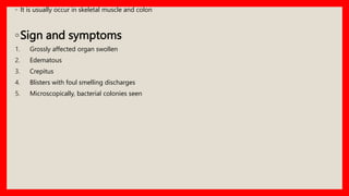 ◦ It is usually occur in skeletal muscle and colon
◦Sign and symptoms
1. Grossly affected organ swollen
2. Edematous
3. Crepitus
4. Blisters with foul smelling discharges
5. Microscopically, bacterial colonies seen
 