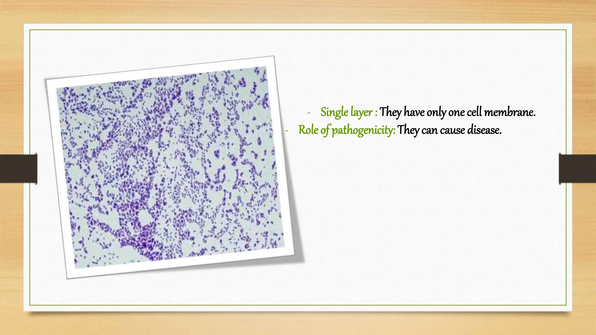 - Single layer : Theyhave onlyone cell membrane.
- Role of pathogenicity: Theycan cause disease.
 