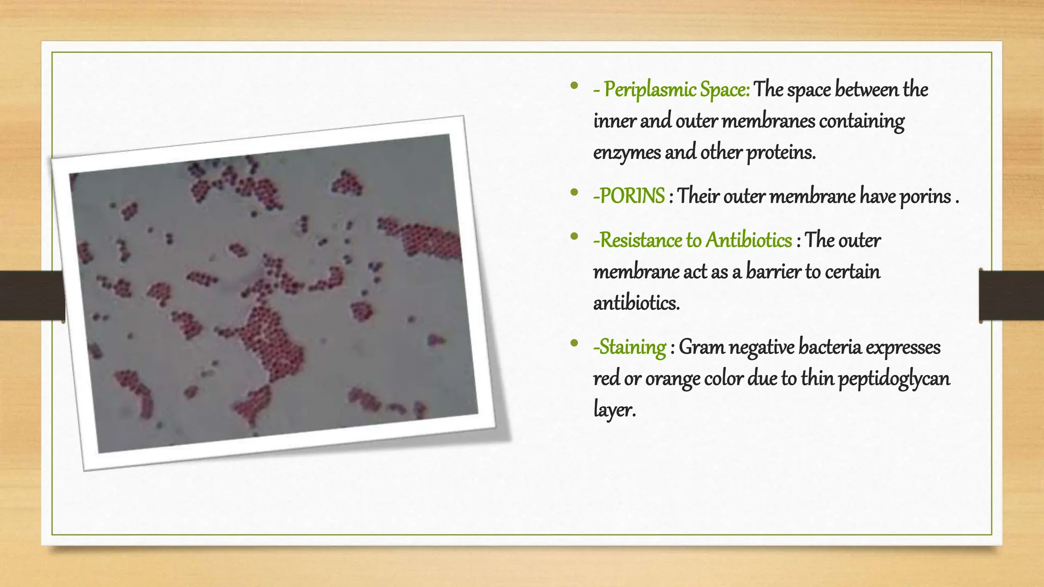 • - Periplasmic Space: The space between the
innerand outermembranescontaining
enzymes and other proteins.
• -PORINS: Their outer membrane have porins .
• -Resistance to Antibiotics : The outer
membrane act as a barrier to certain
antibiotics.
• -Staining: Gram negative bacteria expresses
red or orange colordue to thin peptidoglycan
layer.
 