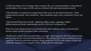 Mitochondria is the powerhouse of cell. | PDF