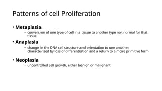 Patterns of cell Proliferation
• Metaplasia
• conversion of one type of cell in a tissue to another type not normal for that
tissue
• Anaplasia
• change in the DNA cell structure and orientation to one another,
characterized by loss of differentiation and a return to a more primitive form.
• Neoplasia
• uncontrolled cell growth, either benign or malignant
 