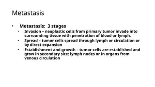 Metastasis
• Metastasis: 3 stages
• Invasion – neoplastic cells from primary tumor invade into
surrounding tissue with penetration of blood or lymph.
• Spread – tumor cells spread through lymph or circulation or
by direct expansion
• Establishment and growth – tumor cells are established and
grow in secondary site: lymph nodes or in organs from
venous circulation
 