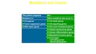 Mutations and Cancer
Genes Implicated in Cancer
 