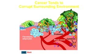 Cancer Tends to
Corrupt Surrounding Environment
Growth factors = proliferation
Blood vessel
Proteases
Cytokines
Matrix
Fibroblasts,
adipocytes
Invasive
Cytokines, proteases = migration & invasion
Back
 