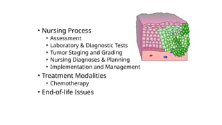 • Nursing Process
• Assessment
• Laboratory & Diagnostic Tests
• Tumor Staging and Grading
• Nursing Diagnoses & Planning
• Implementation and Management
• Treatment Modalities
• Chemotherapy
• End-of-life Issues
 