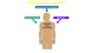 What Causes Cancer?
Some viruses or bacteria
Heredity
Diet
Hormones
Radiation
Some chemicals
 