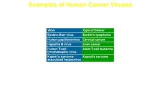 Examples of Human Cancer Viruses
Some Viruses Associated with Human Cancers
 