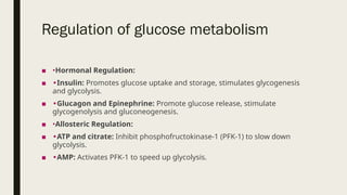 Presentation (2).pptx glucose metabolism | PPTX