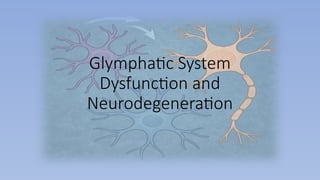 Glymphatic system dysfunction and neurodegeneration | PPTX
