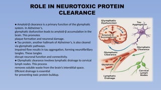 Glymphatic system dysfunction and neurodegeneration | PPTX
