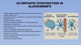 Glymphatic system dysfunction and neurodegeneration | PPTX