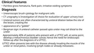 Disease of ureter and that of pelviureteric junction | PPTX