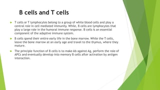 Types of Immune cells in immunology M.Sc. PPT | PDF