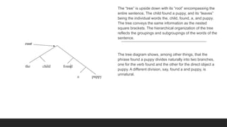 The “tree” is upside down with its “root” encompassing the
entire sentence, The child found a puppy, and its “leaves”
being the individual words the, child, found, a, and puppy.
The tree conveys the same information as the nested
square brackets. The hierarchical organization of the tree
reflects the groupings and subgroupings of the words of the
sentence.
The tree diagram shows, among other things, that the
phrase found a puppy divides naturally into two branches,
one for the verb found and the other for the direct object a
puppy. A different division, say, found a and puppy, is
unnatural.
 