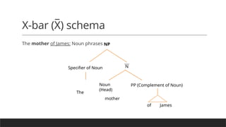 X-bar (X
̅ ) schema
The mother of James: Noun phrases NP
Specifier of Noun
The
N
Noun
(Head)
PP (Complement of Noun)
mother
of James
 