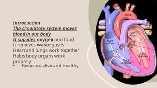 introduction of heart circulation system | PPTX