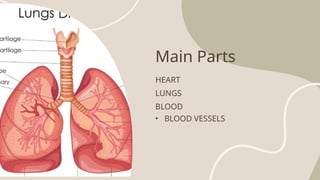introduction of heart circulation system | PPTX