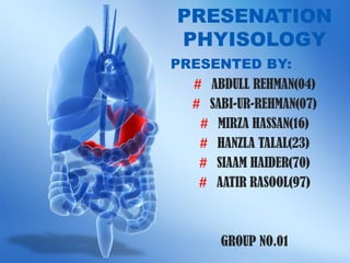 Haider Rasool Presentation2.pdf by siaam haider | PDF