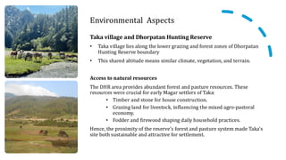 Environmental Aspects
Taka village and Dhorpatan Hunting Reserve
• Taka village lies along the lower grazing and forest zones of Dhorpatan
Hunting Reserve boundary
• This shared altitude means similar climate, vegetation, and terrain.
Access to natural resources
The DHR area provides abundant forest and pasture resources. These
resources were crucial for early Magar settlers of Taka:
• Timber and stone for house construction.
• Grazing land for livestock, influencing the mixed agro-pastoral
economy.
• Fodder and firewood shaping daily household practices.
Hence, the proximity of the reserve’s forest and pasture system made Taka’s
site both sustainable and attractive for settlement.
 