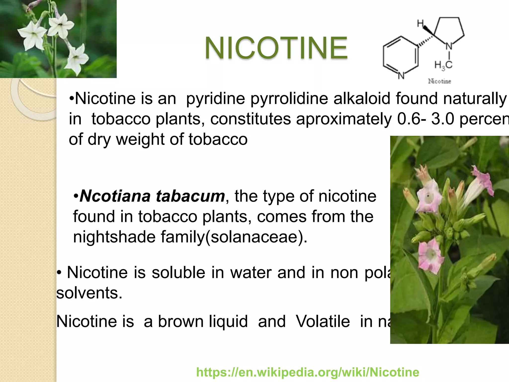 alkaloid in tobacco Chemical Formulas Nicotine Other Alkaloids Stock Vector (Royalty Free) 785142265 nicotine | PPTX