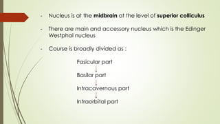 - Nucleus is at the midbrain at the level of superior colliculus
- There are main and accessory nucleus which is the Edinger
Westphal nucleus
- Course is broadly divided as :
Fasicular part
Basilar part
Intracavernous part
Intraorbital part
 