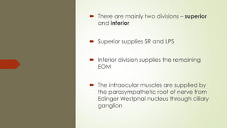  There are mainly two divisions – superior
and inferior
 Superior supplies SR and LPS
 Inferior division supplies the remaining
EOM
 The intraocular muscles are supplied by
the parasympathetic root of nerve from
Edinger Westphal nucleus through ciliary
ganglion
 