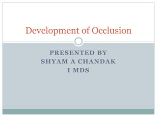 PRESENTED BY
SHYAM A CHANDAK
I MDS
Development of Occlusion
 