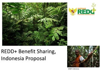 REDD+ Benefit Sharing,
Indonesia Proposal
                         WWF-Indonesia
 