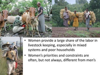 Key livelihood and gender issues in livestock