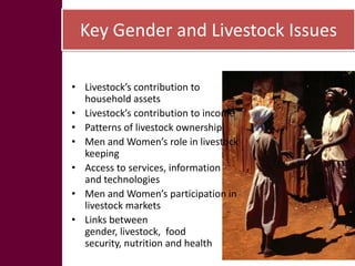 Key livelihood and gender issues in livestock