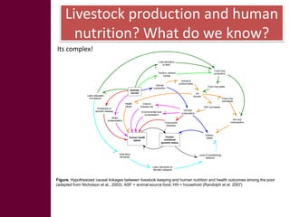 Key livelihood and gender issues in livestock