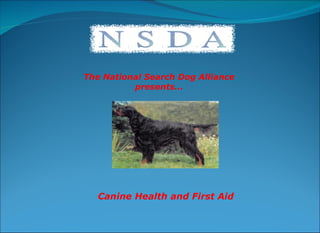 The National Search Dog Alliance presents… Canine Health and First Aid 