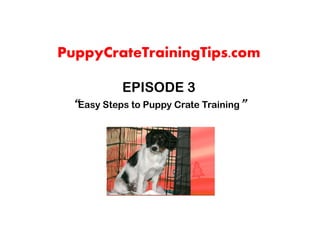 PuppyCrateTrainingTips.com

           EPISODE 3
 “Easy Steps to Puppy Crate Training”
 