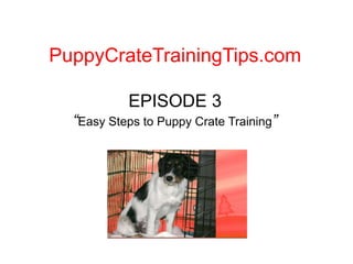 PuppyCrateTrainingTips.com EPISODE 3“Easy Steps to Puppy Crate Training” 