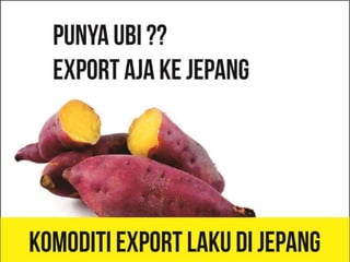 seminar impor tangerang