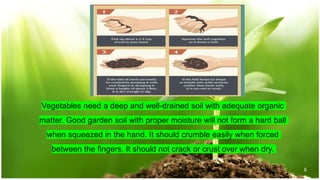 SOIL PREPARATION AND PLANTING | PPTX