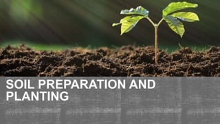 SOIL PREPARATION AND
PLANTING
 