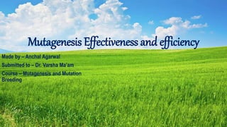 Mutagenesis Effectiveness and efficiency
Made by – Anchal Agarwal
Submitted to – Dr. Varsha Ma’am
Course – Mutagenesis and Mutation
Breeding
 