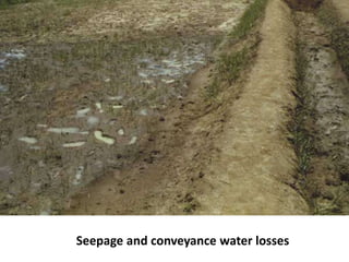 Seepage and conveyance water losses
 
