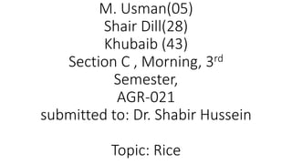 M. Usman(05)
Shair Dill(28)
Khubaib (43)
Section C , Morning, 3rd
Semester,
AGR-021
submitted to: Dr. Shabir Hussein
Topic: Rice
 