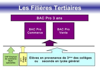 Les Filières Tertiaires
BAC Pro
Commerce
BAC Pro
Vente
Elèves en provenance de 3ème
des collèges
ou seconde en lycée général
CAP Employé
de commerce
Multi-
spécialités
BAC Pro 3 ans
3ème
Prépa
PRO
 