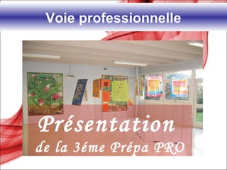 Voie professionnelle
Présentation
de la 3éme Prépa PRO
 