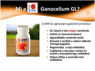 Mi a   Ganocelium GL?

       A DXN GL egészségre gyakorolt jó hatásai:

          • GL növeli a test oxigén tartalmát.
          • Erősíti az immunrendszert.
          • Agyműködés serkentő tonik.
          • Kivezeti a testből a vízben oldható
            méreganyagokat.
          • Regenerálja a sejt működést.
          • Csökkenti a vércukor szintet és
            erősíti a hasnyálmirigy működést.
          • Helyre állítja a normális test
            működést.
 