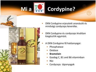 Mi a        Cordypine?

       • DXN Cordypine erjesztett ananászlé és
         minőségi cordyceps keveréke.

       • DXN Cordypine és cordyceps kiválóan
         kiegészítik egymást.

       • A DXN Cordypine fő hatóanyagai:
          • Phosphatase
          • Oxidase
          • Bromelain
          • Gazdag C, B1 and B6 vitaminban
          • Réz
          • Cordyceps tápanyagok
 