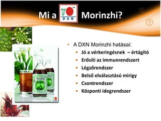 Mi a        Morinzhi?

       • A DXN Morinzhi hatásai:
          • Jó a vérkeringésnek – értágító
          • Erősíti az immunrendszert
          • Légzőrendszer
          • Belső elválasztású mirigy
          • Csontrendszer
          • Központi idegrendszer
 
